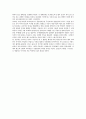 사진예술 - 사진의 역사 3페이지