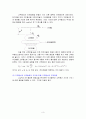 결과 보고서 - 전장, 전위차, 전장의 로렌츠 힘 3페이지