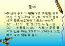 물표에 의한 선위 관측 12페이지