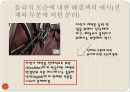 설계 - 트리즈[TRIZ]에 대해서 14페이지