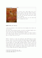 탄닌,포도품종,와인기구 레포트 8페이지