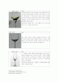 탄닌,포도품종,와인기구 레포트 15페이지