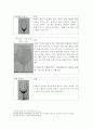 탄닌,포도품종,와인기구 레포트 17페이지