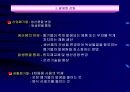 폐기물 관리 12페이지