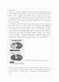 국민건강보험 (의료보험 민영화) 5페이지