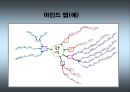 마인드맵을 활용한 교사와의 상호작용이정신지체아동에게 미치는 효과 10페이지