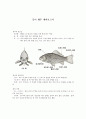 붕어 해부 예비보고서 1페이지
