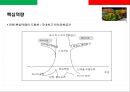 스파게티 전문점 프렌차이즈 사업계획서.ppt 24페이지