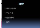 에릭슨과 심리사회적발달 8단계 PPT자료 2페이지