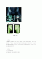 무혈관성 괴사(AVN: Avascular necrosis) 4페이지