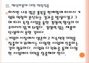 [CJ제일제당 기업분석] CJ제일제당 경영전략분석-일부 사업 철수 PPT자료 13페이지