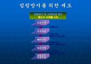 덤핑,덤핑사례,덤핑제도,이전가격,이전가격결정한계,이전가격활용방안 10페이지