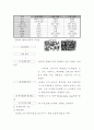 간세포암 (HCC: hepatocellular carcinoma) , A형간염, B형간염, C형간염, 간경변증 구분 3페이지
