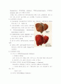 간세포암 (HCC: hepatocellular carcinoma) , A형간염, B형간염, C형간염, 간경변증 구분 5페이지