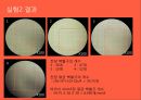 생리학실습 - WBC Count 7페이지
