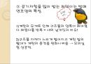 계란 자유 낙하 프로젝트.ppt 14페이지