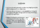 내연기관 - 과급기에 대해서 6페이지