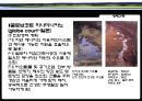 친환경건축.ppt 46페이지