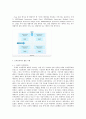 [컴퓨터] 슈퍼컴퓨터에 관한 조사 6페이지