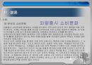 광고와 소비문화 10페이지