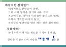 몰입의 즐거움 3페이지