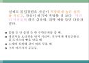 몰입의 즐거움 13페이지