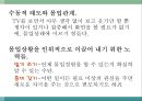 몰입의 즐거움 16페이지