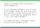 몰입의 즐거움 21페이지