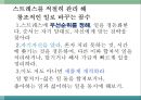 몰입의 즐거움 47페이지