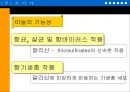 ‘마늘’을 이용한 기능성 식품의 개발-PPT자료 5페이지
