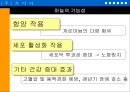 ‘마늘’을 이용한 기능성 식품의 개발-PPT자료 6페이지