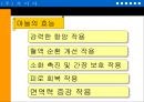 ‘마늘’을 이용한 기능성 식품의 개발-PPT자료 8페이지