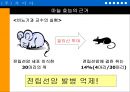 ‘마늘’을 이용한 기능성 식품의 개발-PPT자료 11페이지