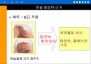‘마늘’을 이용한 기능성 식품의 개발-PPT자료 14페이지