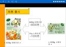 ‘마늘’을 이용한 기능성 식품의 개발-PPT자료 30페이지