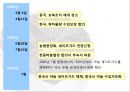 한·중 마늘 세이프가드  11페이지