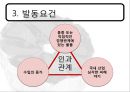 한·중 마늘 세이프가드  12페이지
