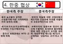 한·중 마늘 세이프가드  22페이지