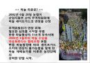 한·중 마늘 세이프가드  25페이지