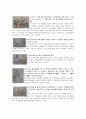 아동주제통각검사(C.A.T)  5페이지