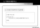 국제 마케팅 믹스 및 국제광고 13페이지