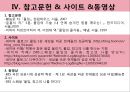 몰입 “최고의 나를 만나다” 27페이지