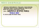 김정일 정부 9페이지