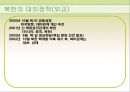김정일 정부 11페이지