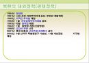 김정일 정부 13페이지