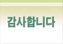 김정일 정부 16페이지
