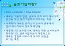 소비자행동론, 얼리어답터와 슬로어답터 3페이지