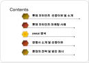 롯데자이언츠,마케팅사례,스포츠마케팅,브랜드마케팅,기업,서비스마케팅,글로벌,경영,시장,사례,swot,stp,4p 2페이지