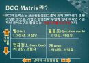 BCG Matrix  2페이지