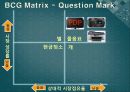 BCG Matrix  13페이지